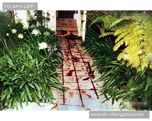 辛普森杀妻案背后的真相与法律的较量探讨