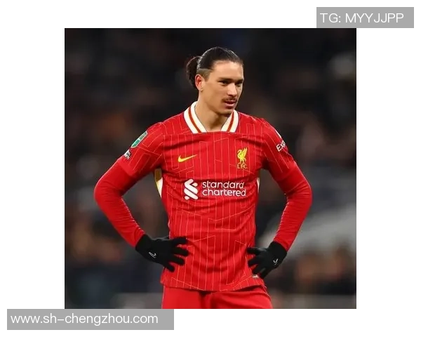 努涅斯在赛季中的崛起与挑战分析,揭示其对球队未来的重要性与影响 努涅斯在赛季中的崛起与挑战分析,揭示其对球队未来的重要性与影响